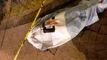 قتل اسرارآمیز ۱۳نفر در جنگل 